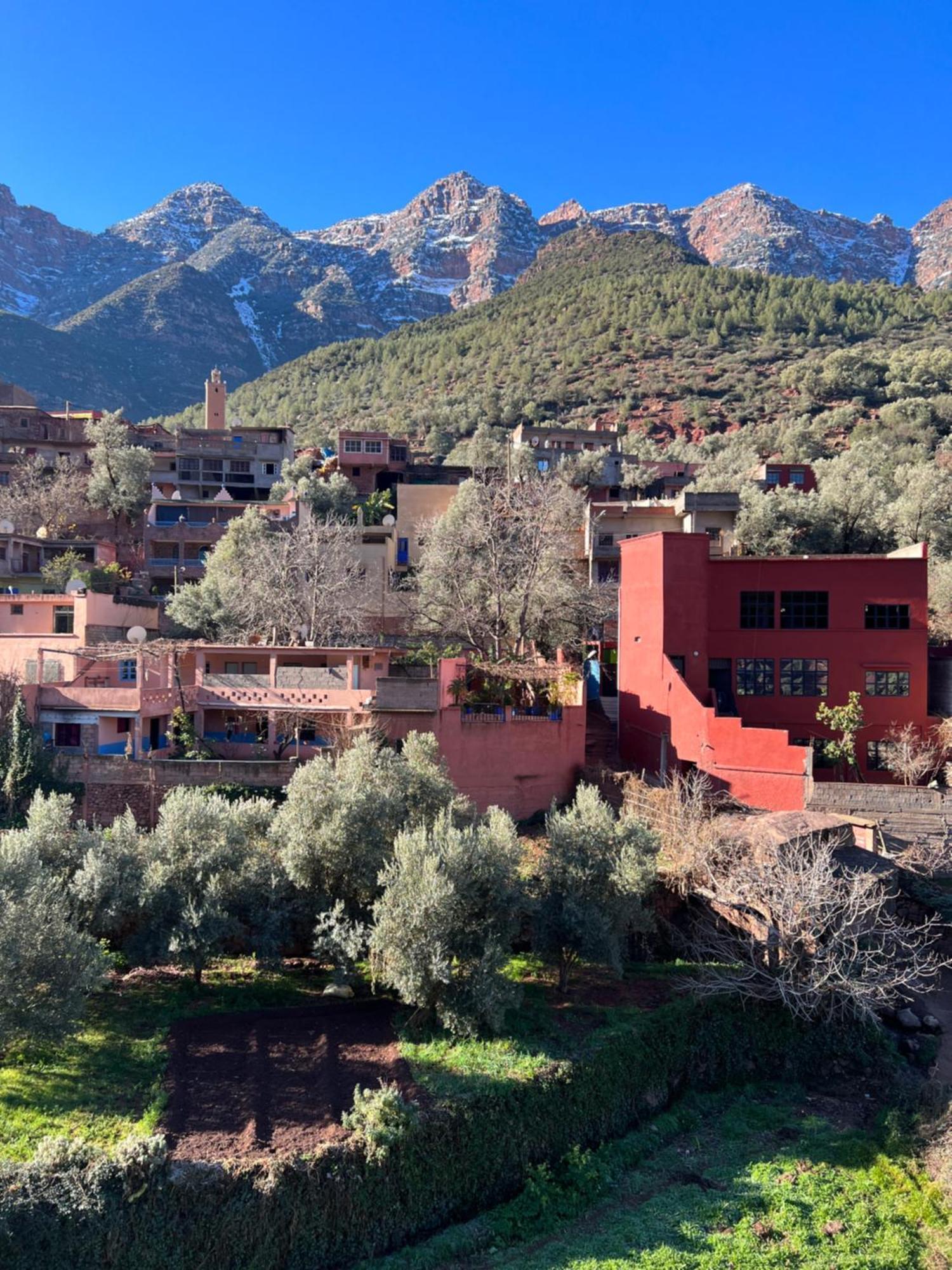 Tazart Lodge Marrakesh Exterior photo